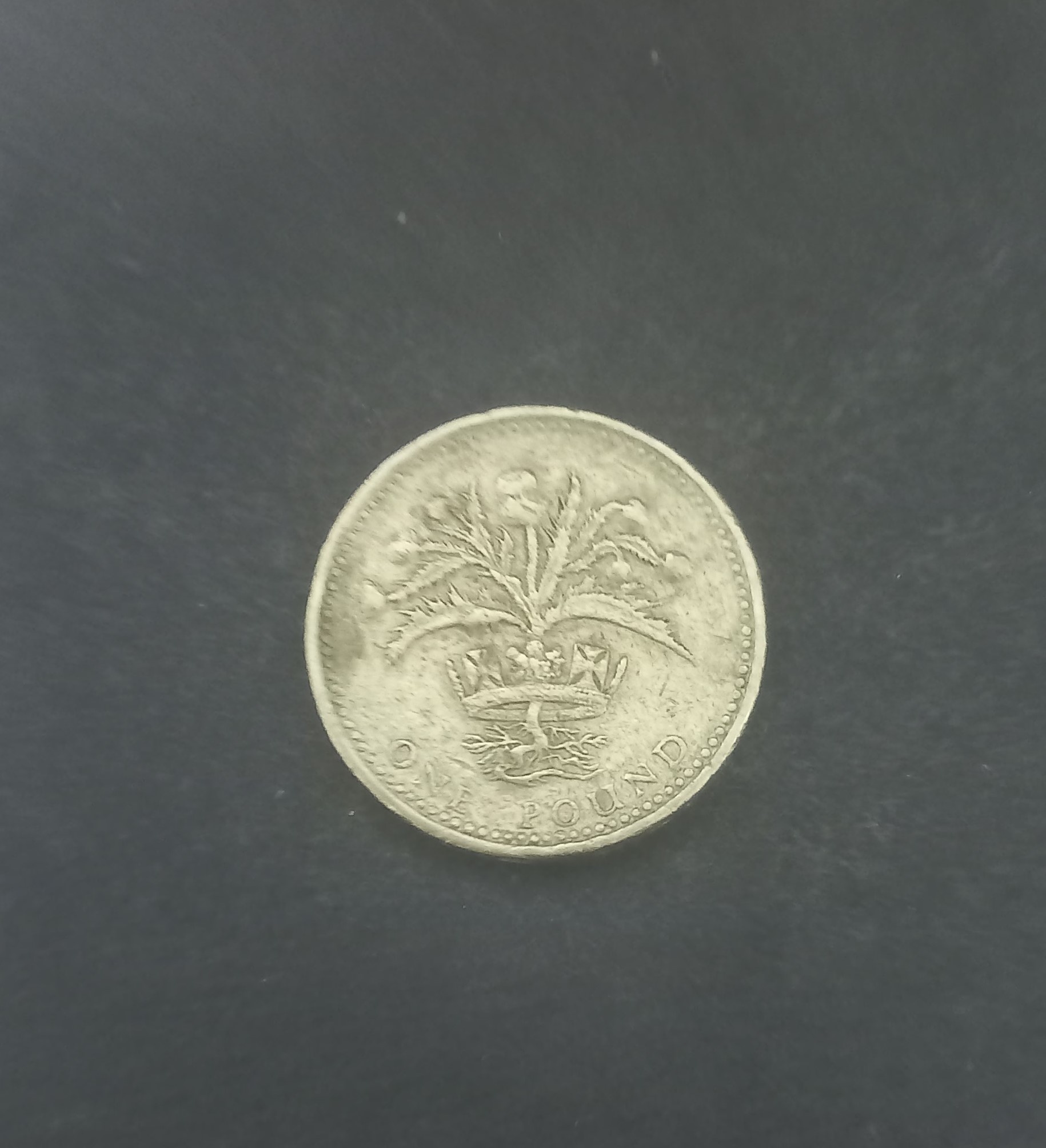 UK 1989 1 Pound Queen Elizabeth II