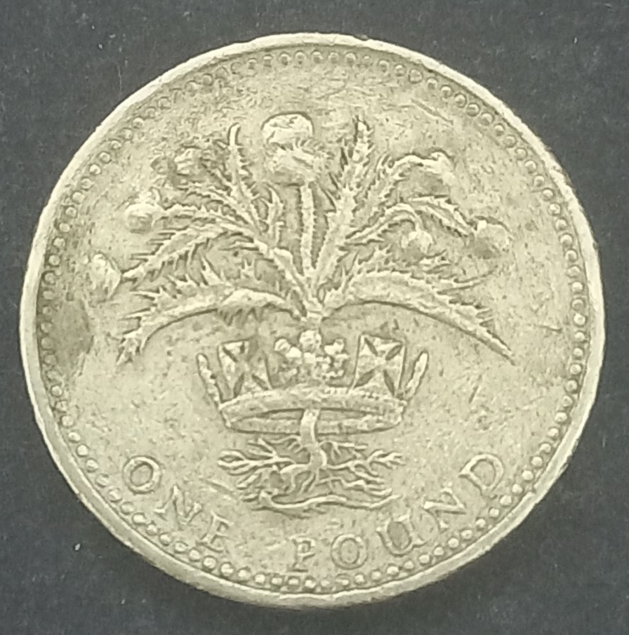 UK 1989 1 Pound Queen Elizabeth II