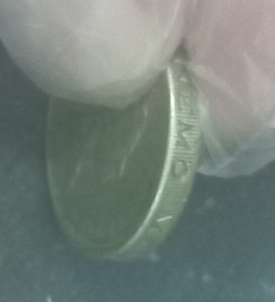 UK 1989 1 Pound Queen Elizabeth II