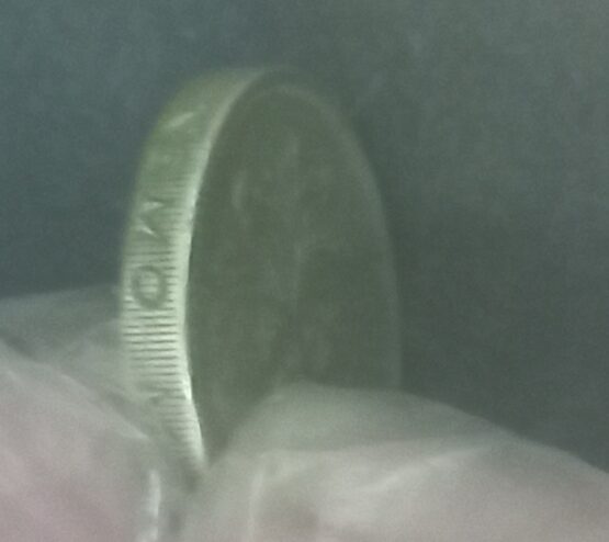 UK 1989 1 Pound Queen Elizabeth II